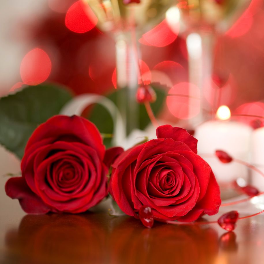 Zwei rote Rosen im Fokus mit Gläsern unscharf im Hintergrund